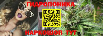 прущие грибы Донецк