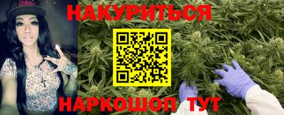 прущие грибы Донецк