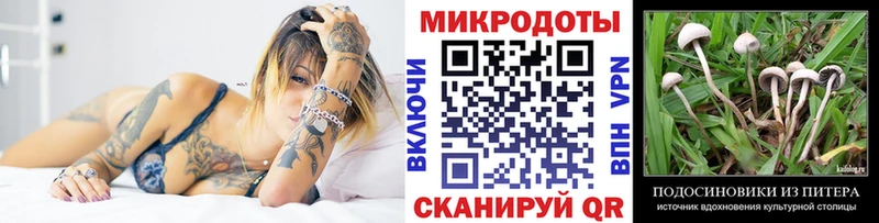Галлюциногенные грибы GOLDEN TEACHER Шахты