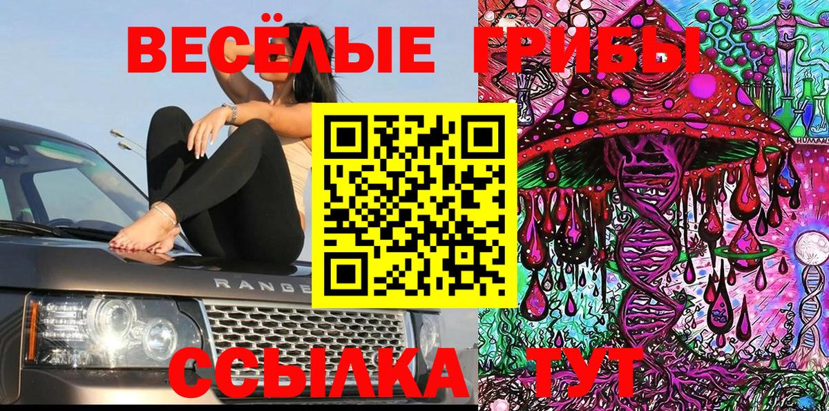 Шахты  Галлюциногенные грибы ЛСД  Вход с VPN 
